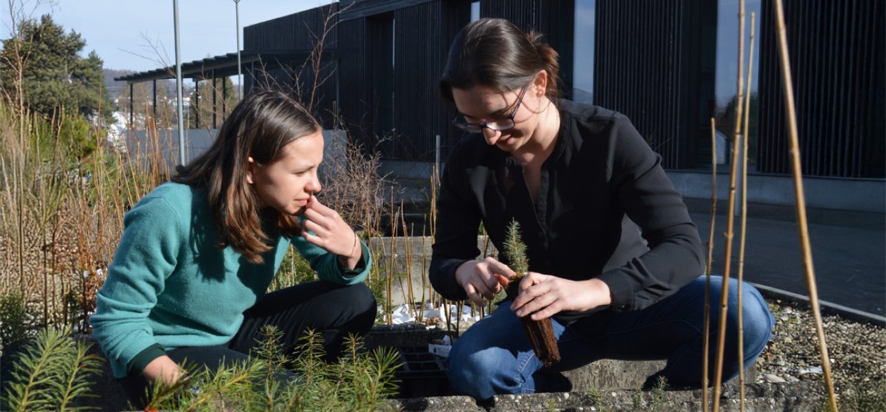 projekt-digit-soil_founders_helene-iven-und-sonia-meller